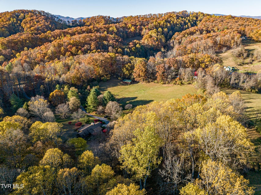 Photo #87: 29616 Tobias Drive