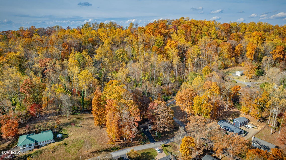 Photo #32: 4422 Rustic Way 