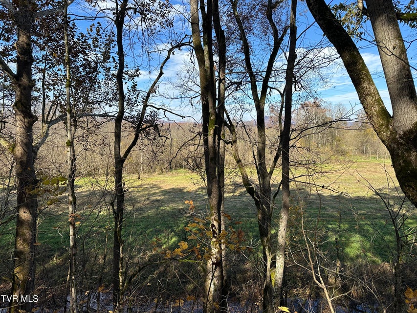 Photo #15: Lot 39 Wesley Chapel Road