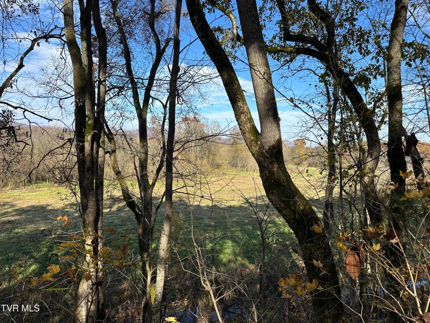 Photo #16: Lot 39 Wesley Chapel Road