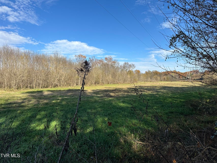 Photo #17: Lot 39 Wesley Chapel Road