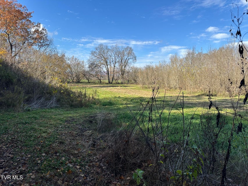 Photo #18: Lot 39 Wesley Chapel Road