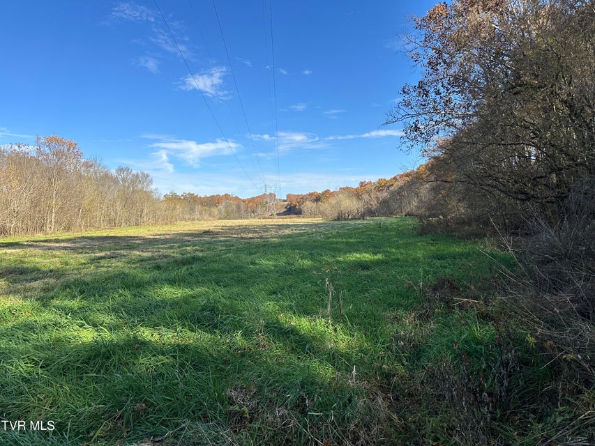 Photo #19: Lot 39 Wesley Chapel Road