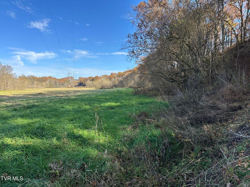 Photo #20: Lot 39 Wesley Chapel Road