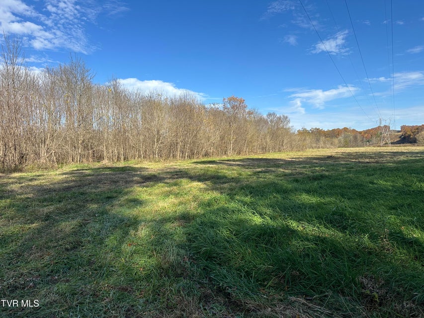 Photo #21: Lot 39 Wesley Chapel Road