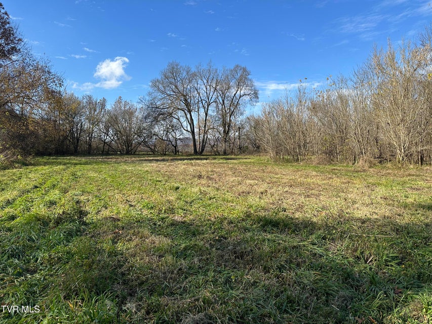 Photo #22: Lot 39 Wesley Chapel Road