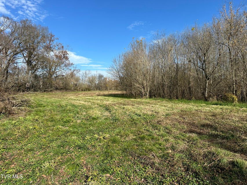 Photo #23: Lot 39 Wesley Chapel Road