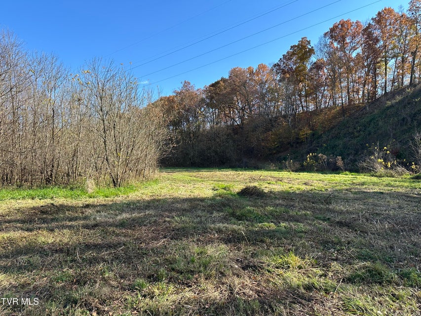 Photo #24: Lot 39 Wesley Chapel Road