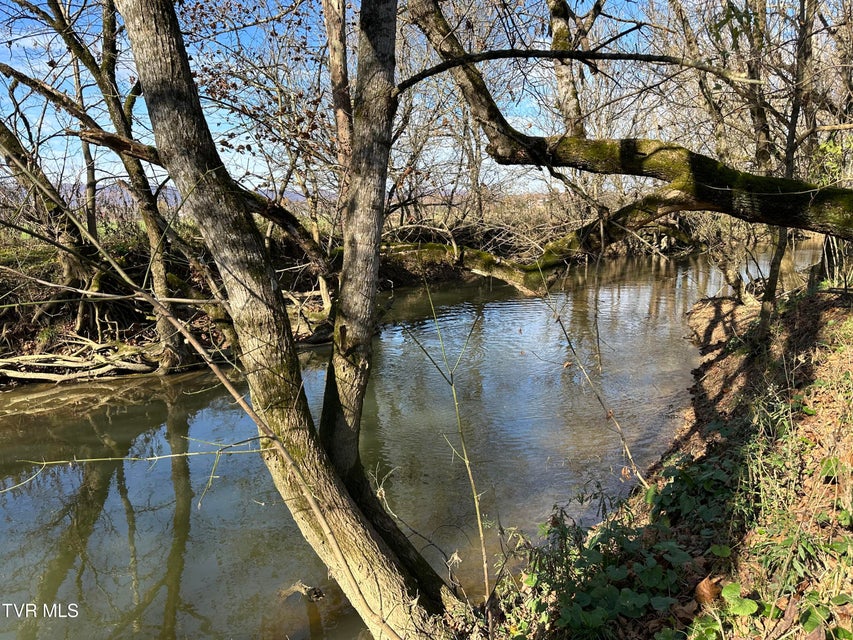 Photo #26: Lot 39 Wesley Chapel Road