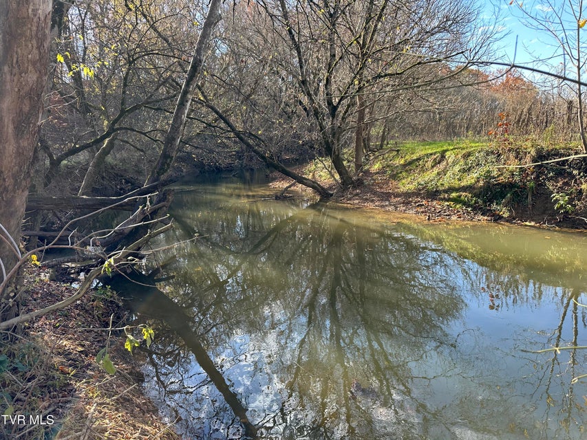 Photo #27: Lot 39 Wesley Chapel Road