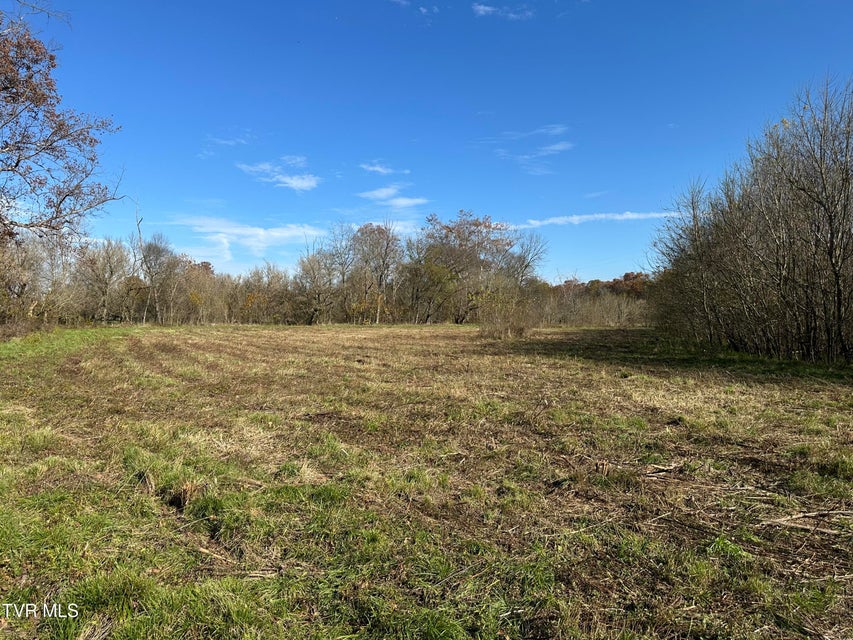 Photo #28: Lot 39 Wesley Chapel Road