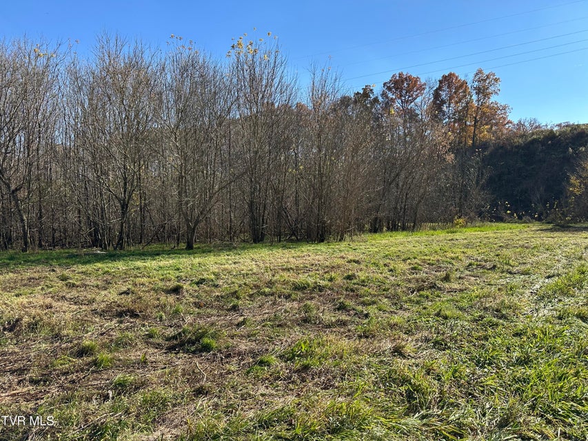 Photo #30: Lot 39 Wesley Chapel Road