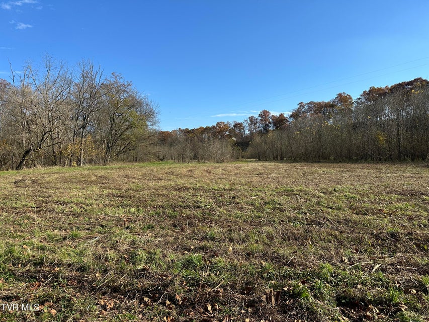 Photo #32: Lot 39 Wesley Chapel Road