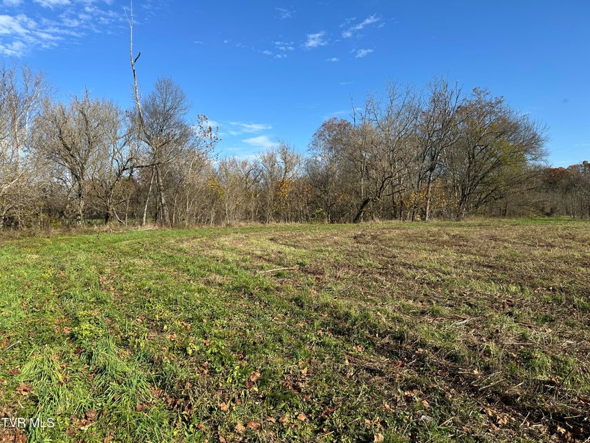 Photo #33: Lot 39 Wesley Chapel Road