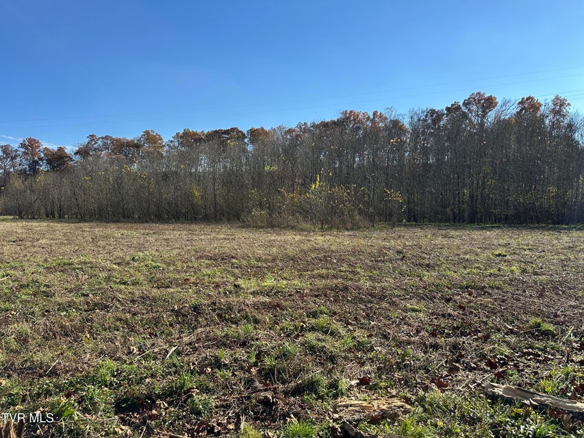 Photo #34: Lot 39 Wesley Chapel Road