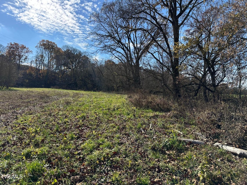 Photo #35: Lot 39 Wesley Chapel Road