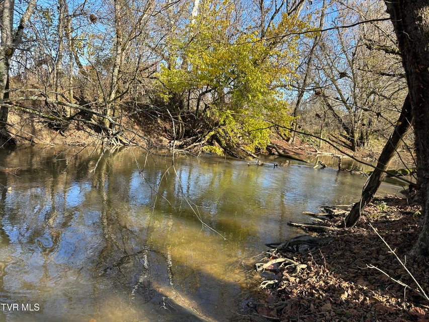 Photo #37: Lot 39 Wesley Chapel Road