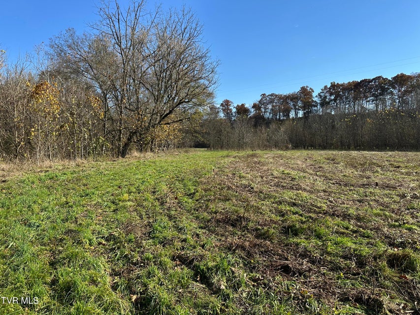 Photo #40: Lot 39 Wesley Chapel Road