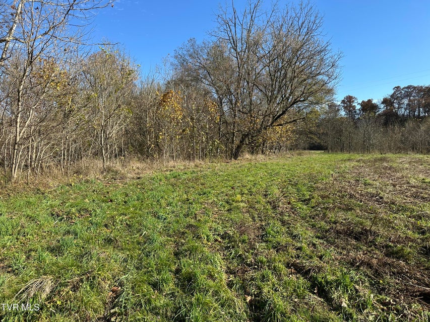 Photo #41: Lot 39 Wesley Chapel Road