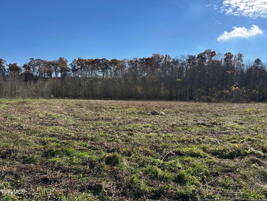 Photo #42: Lot 39 Wesley Chapel Road