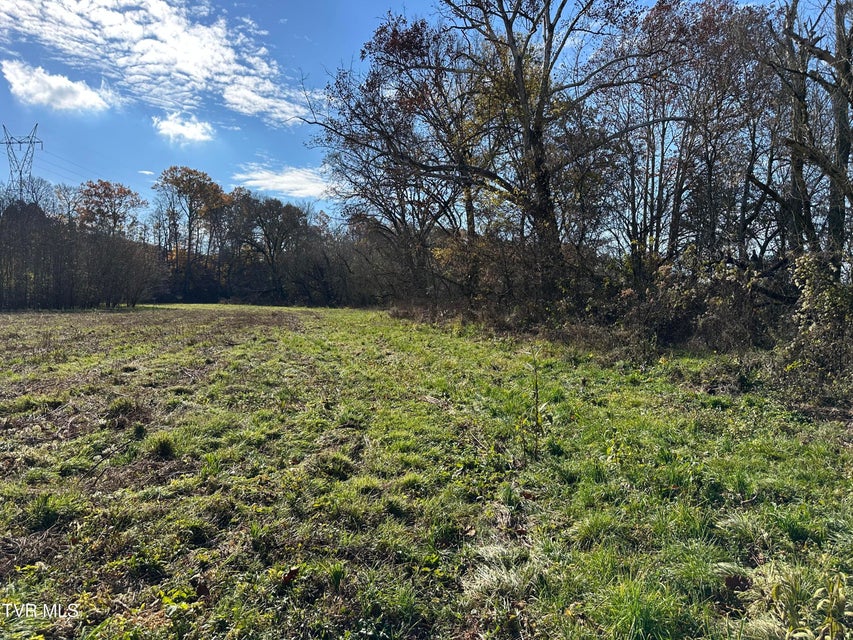 Photo #43: Lot 39 Wesley Chapel Road