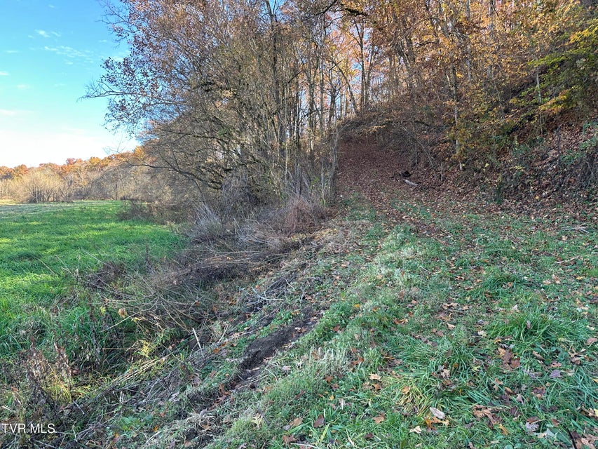 Photo #44: Lot 39 Wesley Chapel Road