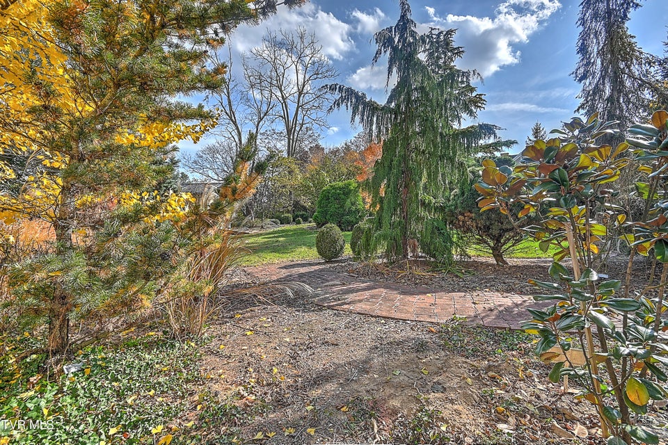 Photo #85: 529 Taylor Street