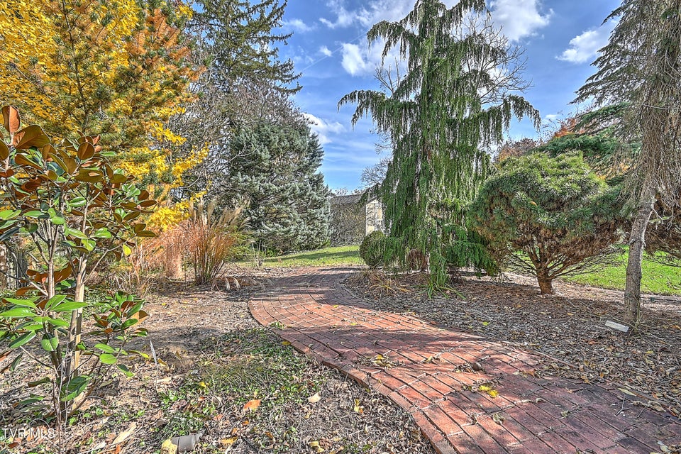 Photo #86: 529 Taylor Street