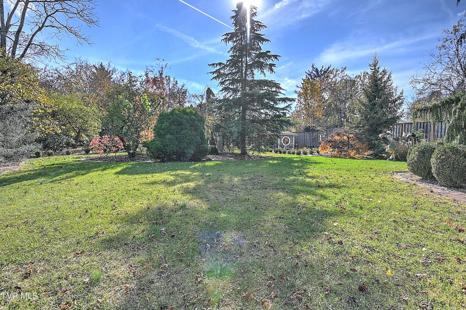 Photo #89: 529 Taylor Street