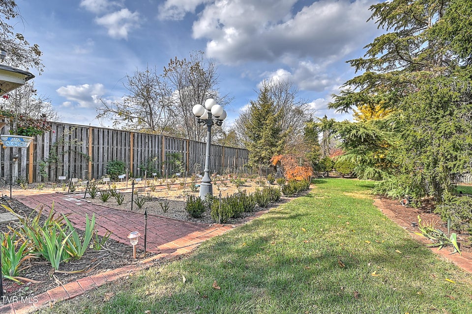 Photo #99: 529 Taylor Street