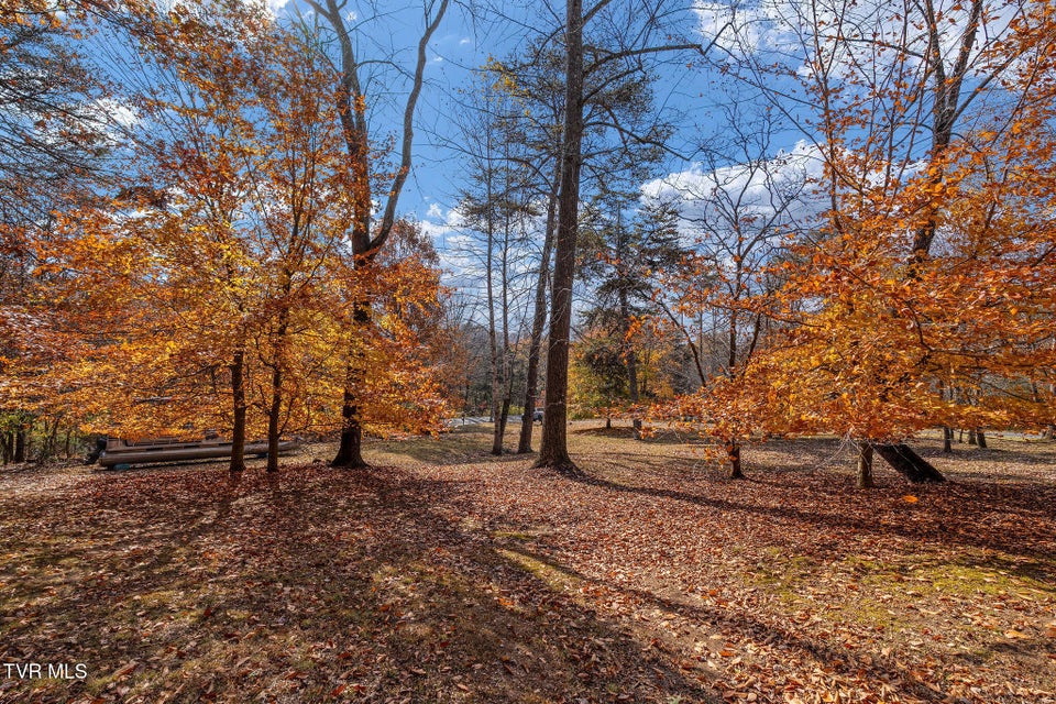 Photo #95: 384 Boring Chapel Road