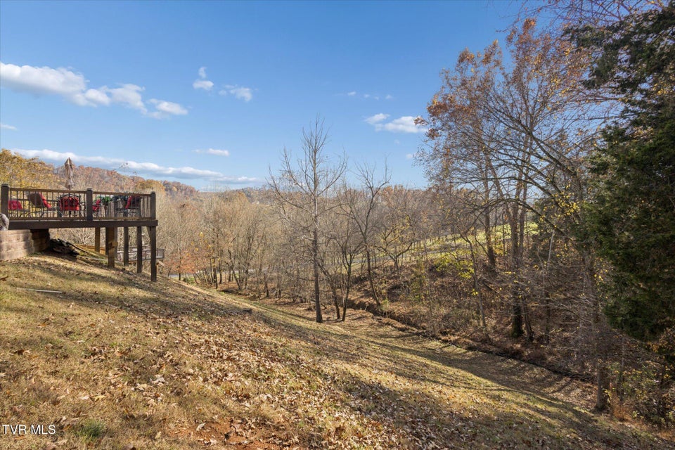 Photo #37: 168 Warrior Falls Drive