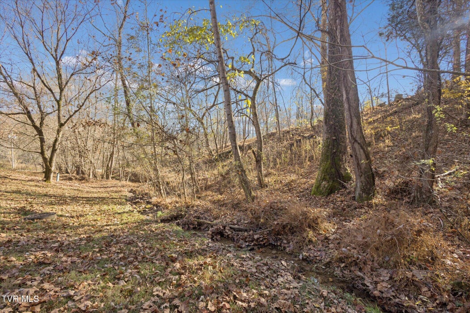 Photo #38: 168 Warrior Falls Drive