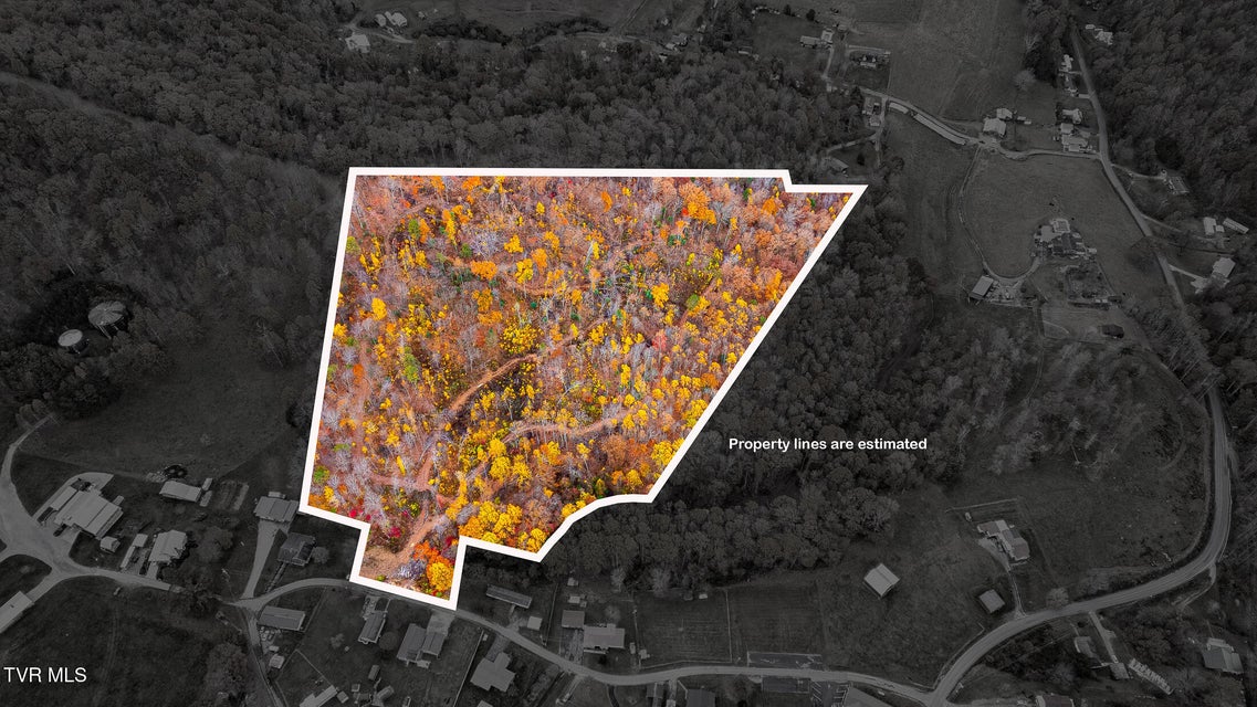 Photo #35: 0 Siam Road