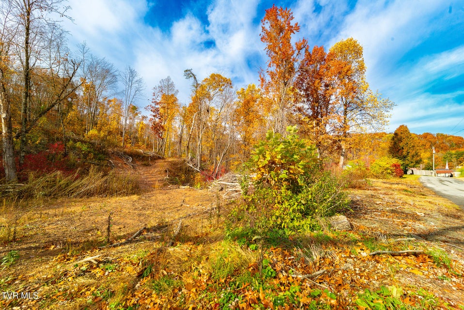 Photo #3: 0 Siam Road