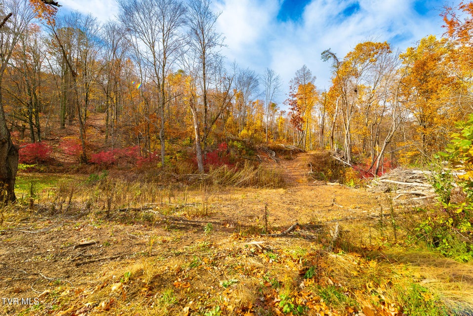 Photo #21: 0 Siam Road