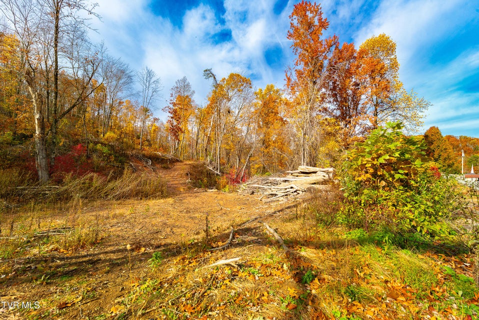 Photo #22: 0 Siam Road