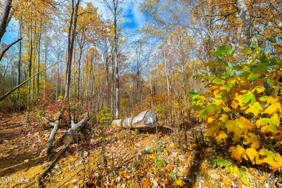 Photo #23: 0 Siam Road