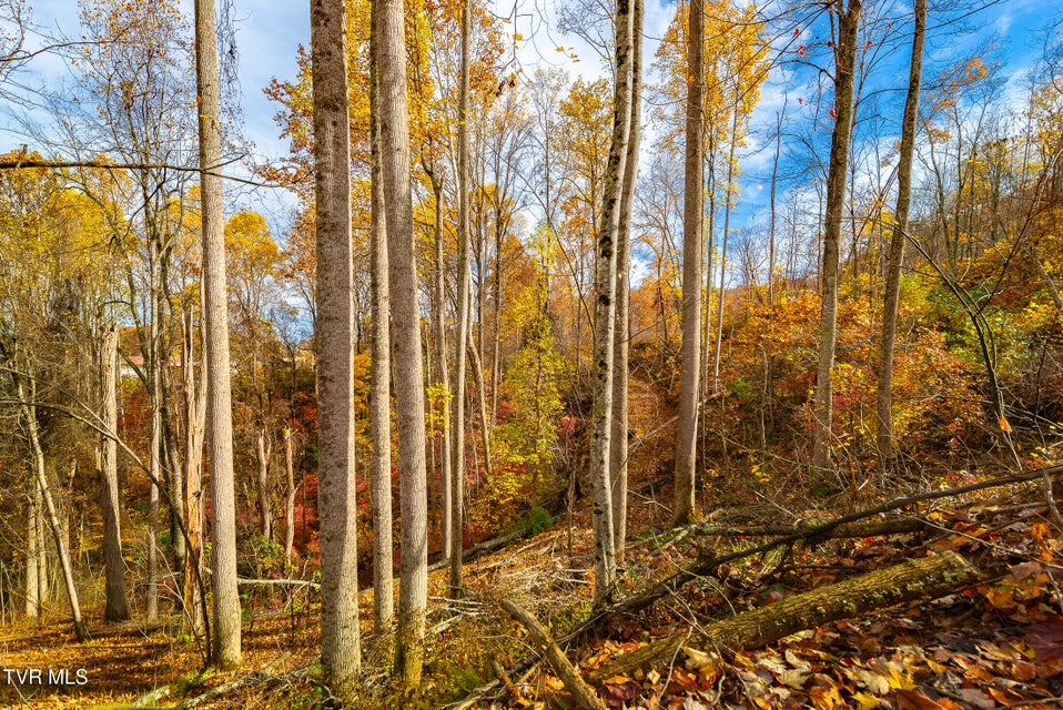 Photo #24: 0 Siam Road