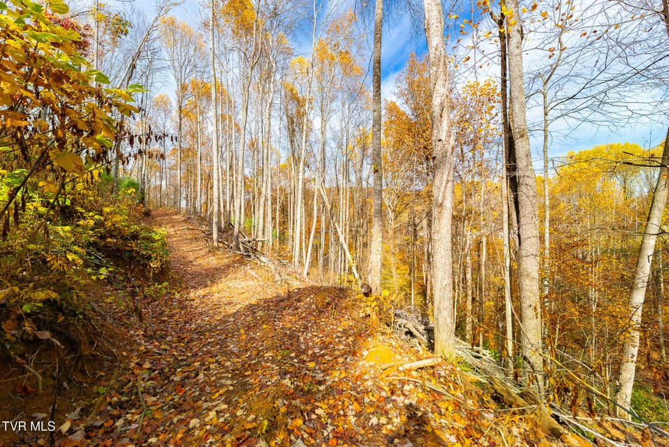 Photo #25: 0 Siam Road