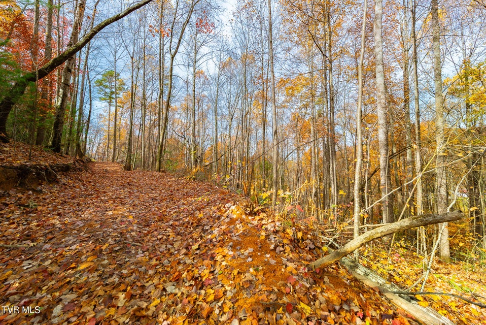 Photo #26: 0 Siam Road