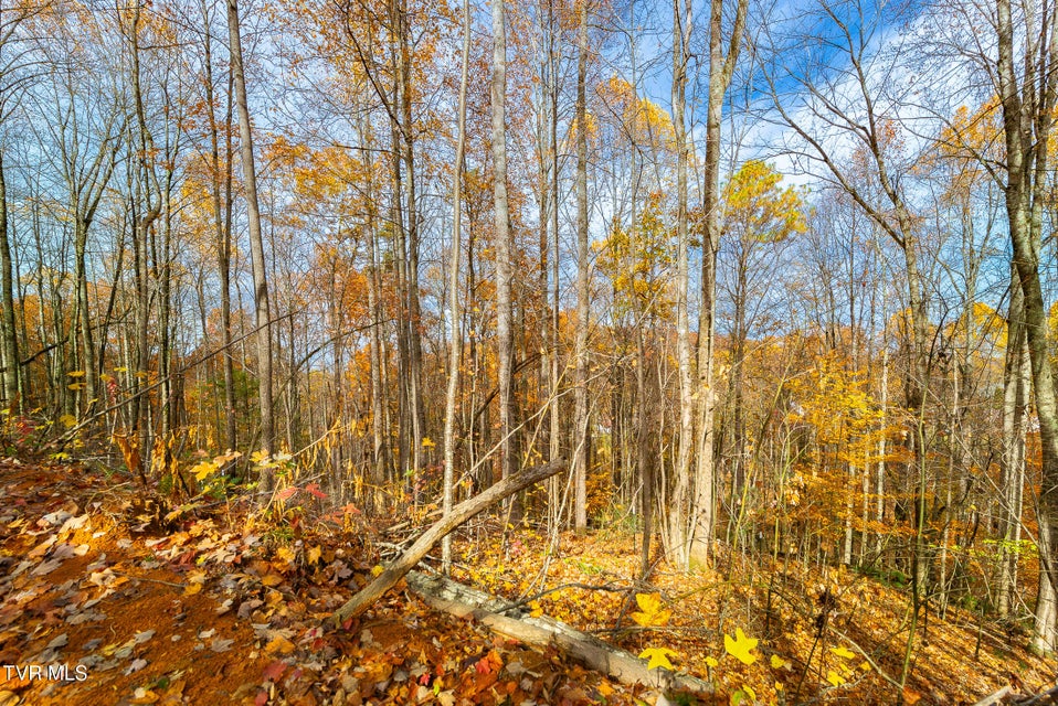 Photo #27: 0 Siam Road