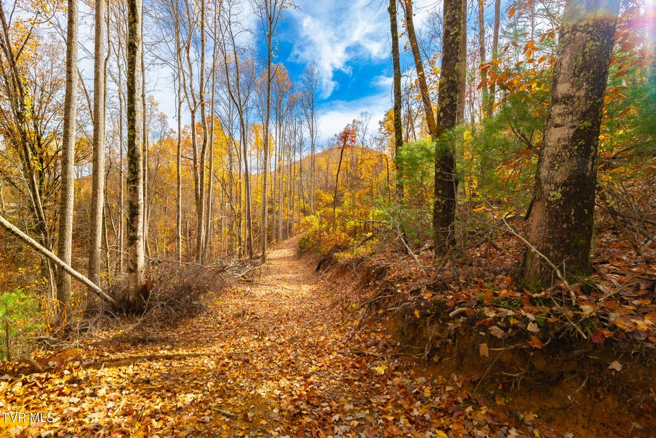 Photo #4: 0 Siam Road