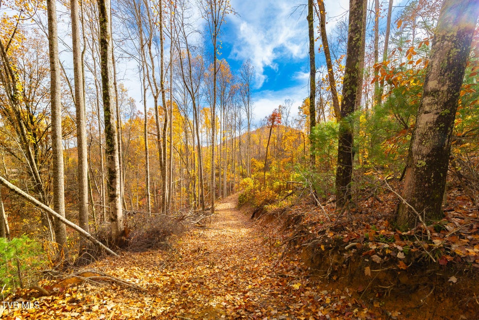 Photo #28: 0 Siam Road