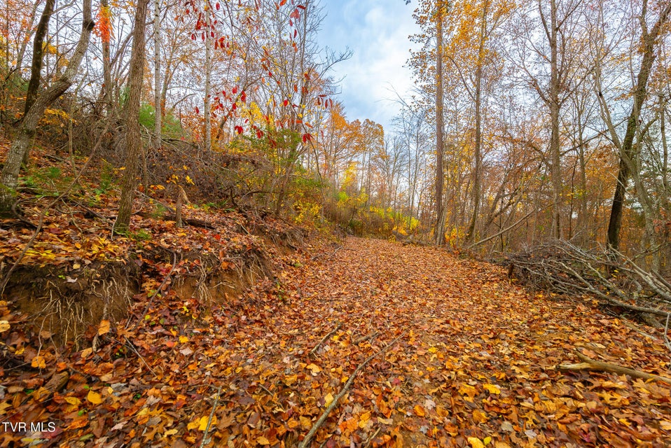 Photo #29: 0 Siam Road