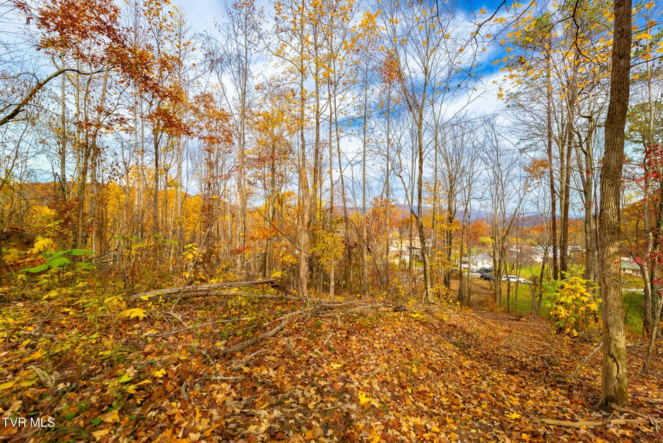 Photo #30: 0 Siam Road