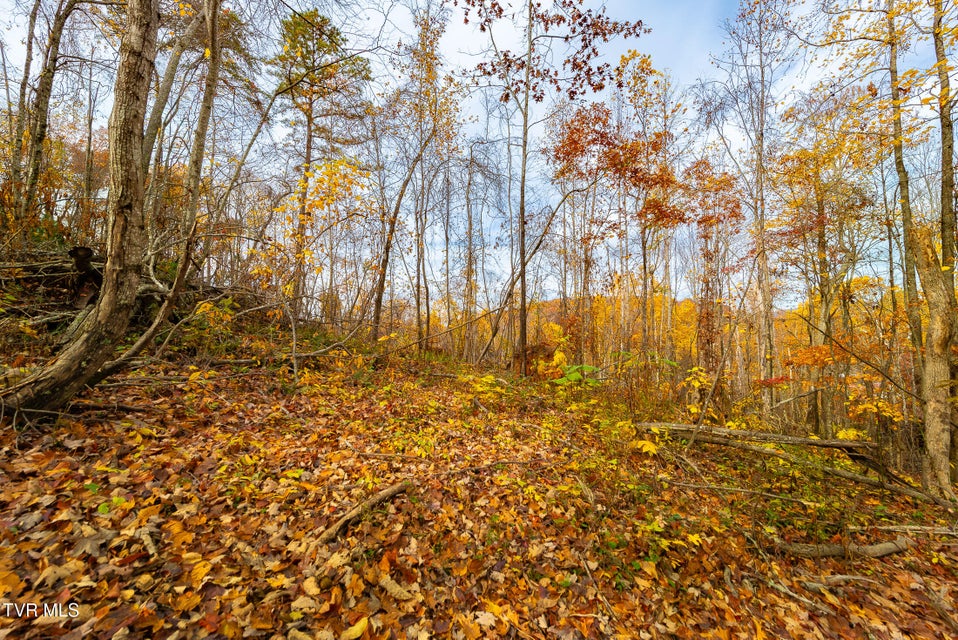 Photo #31: 0 Siam Road
