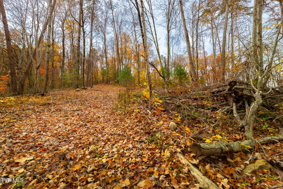 Photo #32: 0 Siam Road