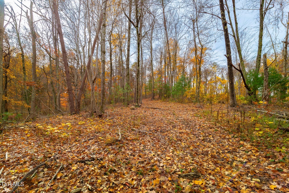 Photo #33: 0 Siam Road