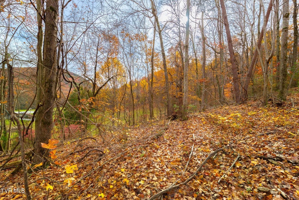 Photo #34: 0 Siam Road